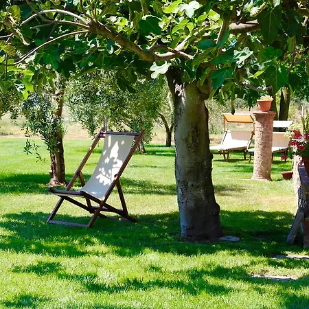 Κατάλυμα σε φάρμα Agriturismo Il Vecchio Imposto