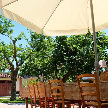 Agriturismo Il Vecchio Imposto * Massa Marittima